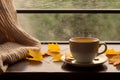 interior design, Cup of autumn tea (coffee, chocolate) and yellow dry leaves near a window, copy space. Royalty Free Stock Photo