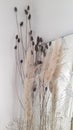 Interior design, dried plants, reed, cane in front of broken mirror and white walls