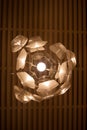 The interior design element is an original electric chandelier in the form of an exotic flower on a dark lattice ceiling