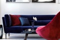 Interior design of living room with blue velvet sofa, red armchair, paintings, design vase, table, decoration, concrete floor. Royalty Free Stock Photo