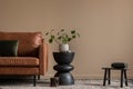 Interior design of living room interior with copy space, brown sofa, wooden coffee table, plant in flowerpot, black stool, gray