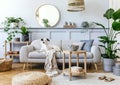 Interior design of living room with stylish grey sofa, coffee table, tropical plant, mirror, decoration, pillows and elegant.