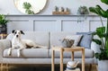 Interior design of living room with stylish grey sofa, coffee table, tropical plant, mirror, decoration, pillows and elegant.