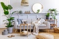 Interior design of living room with stylish grey sofa, coffee table, tropical plant, mirror, decoration, pillows.