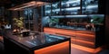 Interior design Luxury spacious home kitchen, build in counter bar