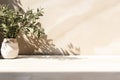 Interior Design, Minimal Empty White Marble Stone Counter Table Top, Green Tree In Sunlight, Leaf Shadow On Beige Brown Stucco