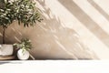Interior Design, Minimal Empty White Marble Stone Counter Table Top, Green Tree In Sunlight, Leaf Shadow On Beige Brown Stucco