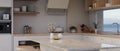 Interior design of a modern home kitchen with luxury marble kitchen island, kitchen appliances Royalty Free Stock Photo