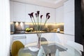 Interior design - modern kitchen