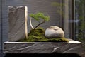 Abstract and minimalist interior design elements made from stone and moss