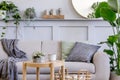 Interior design of scandinavian living room with stylish grey sofa, coffee table, tropical plant, mirror, decoration, pillows.