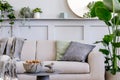 Interior design of scandinavian living room with stylish grey sofa, coffee table, tropical plant, mirror, decoration, pillows.