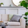 Interior design of scandinavian living room with stylish grey sofa, coffee table, tropical plant, mirror, decoration, pillows.