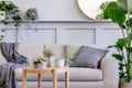 Interior design of scandinavian living room with stylish grey sofa, coffee table, tropical plant, mirror, decoration, pillows.