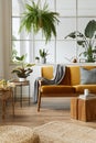 Interior design of scandinavian open space with yellow velvet sofa, plants, furniture, book, wooden cube and personal accessories