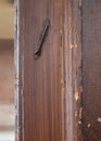 Old Jewish mezuzah on the door of a shabby dilapidated traditional Georgian Huguenot townhouse at Princelet Street, London UK