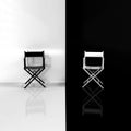 Interior Drawing Room With a White and Black Chair Royalty Free Stock Photo