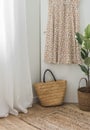 The interior of the dressing room is a dress on a hanger, a woven bag on a jute rug on the floor and a ficus flower. Cozy house