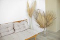 Interior eco design pampas grass and cozy style with sofa, palm leaves boho. Scandinavian home interior trendy design. Stylish Royalty Free Stock Photo