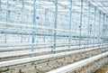 Interior of an empty industrial greenhouse. Royalty Free Stock Photo