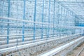 Interior of an Empty Industrial Greenhouse Royalty Free Stock Photo