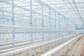 Interior of an Empty Industrial Greenhouse Royalty Free Stock Photo