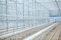 Interior of an Empty Industrial Greenhouse Royalty Free Stock Photo