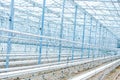 Interior of an empty industrial greenhouse Royalty Free Stock Photo