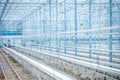 Interior of an Empty Industrial Greenhouse Royalty Free Stock Photo