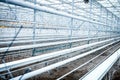 Interior of an Empty Industrial Greenhouse Royalty Free Stock Photo