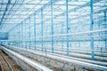 Interior of an Empty Industrial Greenhouse Royalty Free Stock Photo