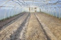 Interior of an empty organic vegetable greenhouse farm, focus on the soil Royalty Free Stock Photo