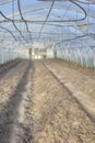 Interior of an empty organic vegetable greenhouse farm, focus on the soil Royalty Free Stock Photo