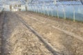 Interior of an empty organic vegetable greenhouse farm, focus on the soil Royalty Free Stock Photo