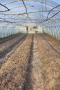 Interior of an empty organic vegetable greenhouse farm, focus on the soil Royalty Free Stock Photo