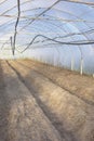Interior of an empty organic vegetable greenhouse farm, focus on the soil Royalty Free Stock Photo