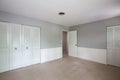 Interior of an empty renovated gray and white room with a closet