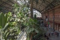 The interior of EstaciÃÂ³n de Madrid Atocha, the largest railway station in the capital of Spain.