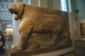 Interior and exhibits from different parts of the famous British Museum, London, England, United Kingdom Royalty Free Stock Photo