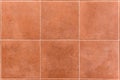 Interior or exterior bathroom or kitchen square ceramic tiles.