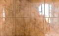 Interior or exterior bathroom or kitchen square ceramic tiles