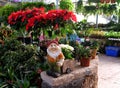 Interior flower shop with sculpture of gnome Royalty Free Stock Photo