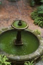 Interior with fountain Royalty Free Stock Photo