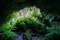 interior of the frei Matias cave, lava cone, island of Pico, archipelago of the Azores.