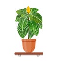 Interior gardening decor. Houseplant in a pot in flat style. Indoor gerb on shelf isolated on white background