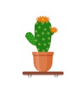 Interior gardening decor. Houseplant in pot in flat style. Potting cactus with flowers. Vector illustration