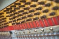 Interior of grand piano closeup. Old Piano string plate, hitch pin, serial number Royalty Free Stock Photo