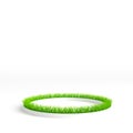 Interior grass ring. 3d illustration, 3d rendering