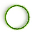 Interior grass ring. 3d illustration, 3d rendering