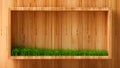 Interior grass wood background. 3d illustration, 3d rendering